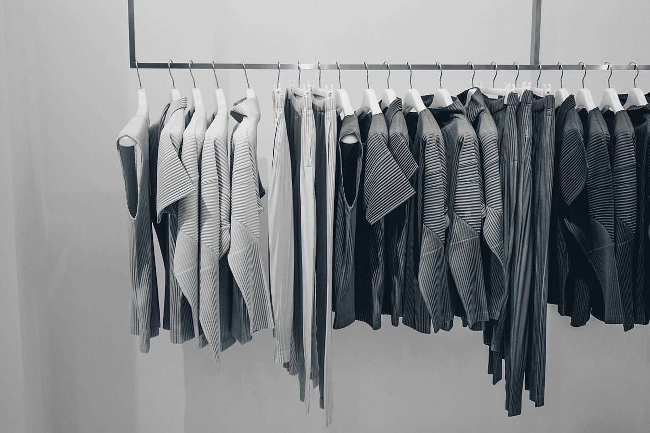 blouse, clothing, dress-2597205.jpg